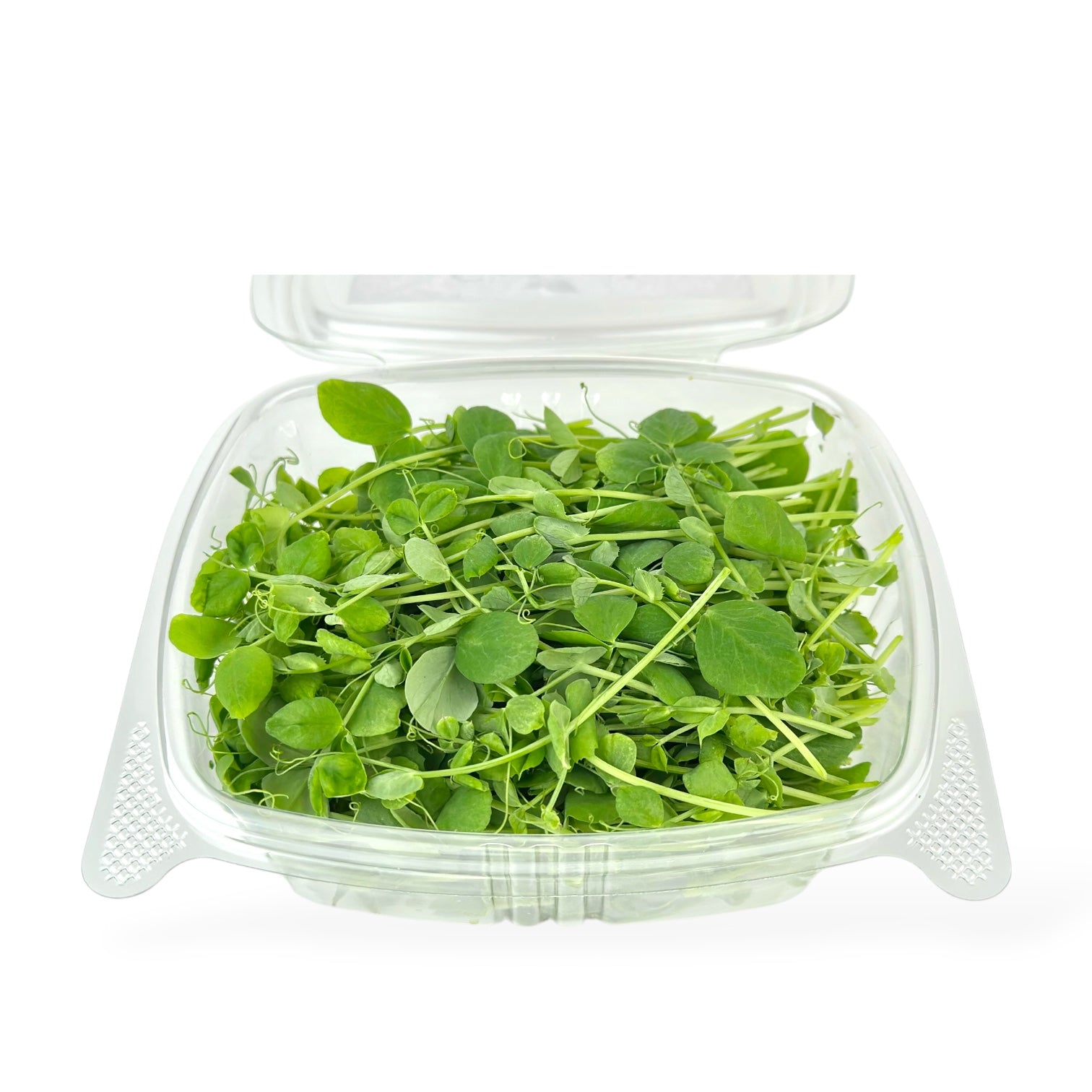 Pea Microgreens