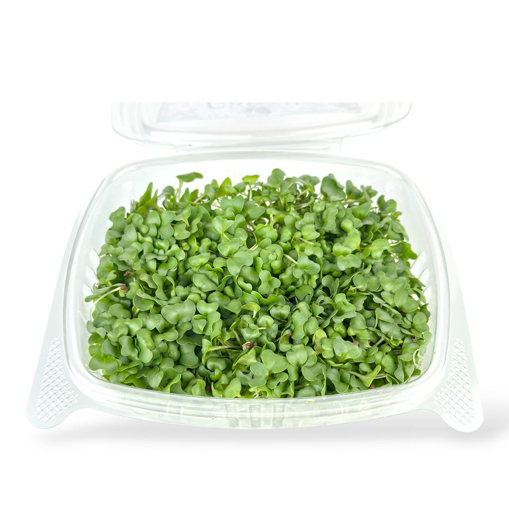 Broccoli Microgreens