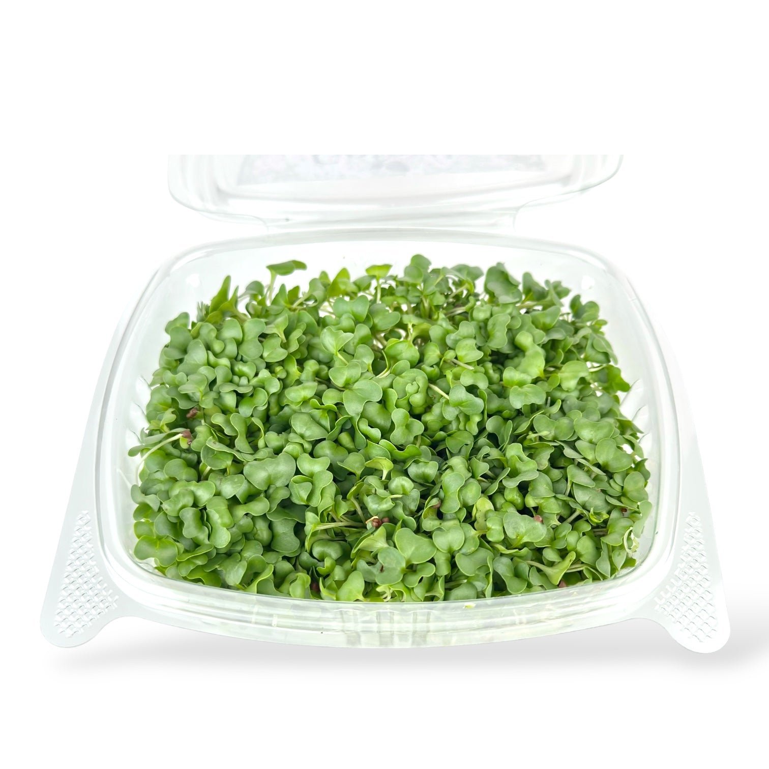 Broccoli Microgreens