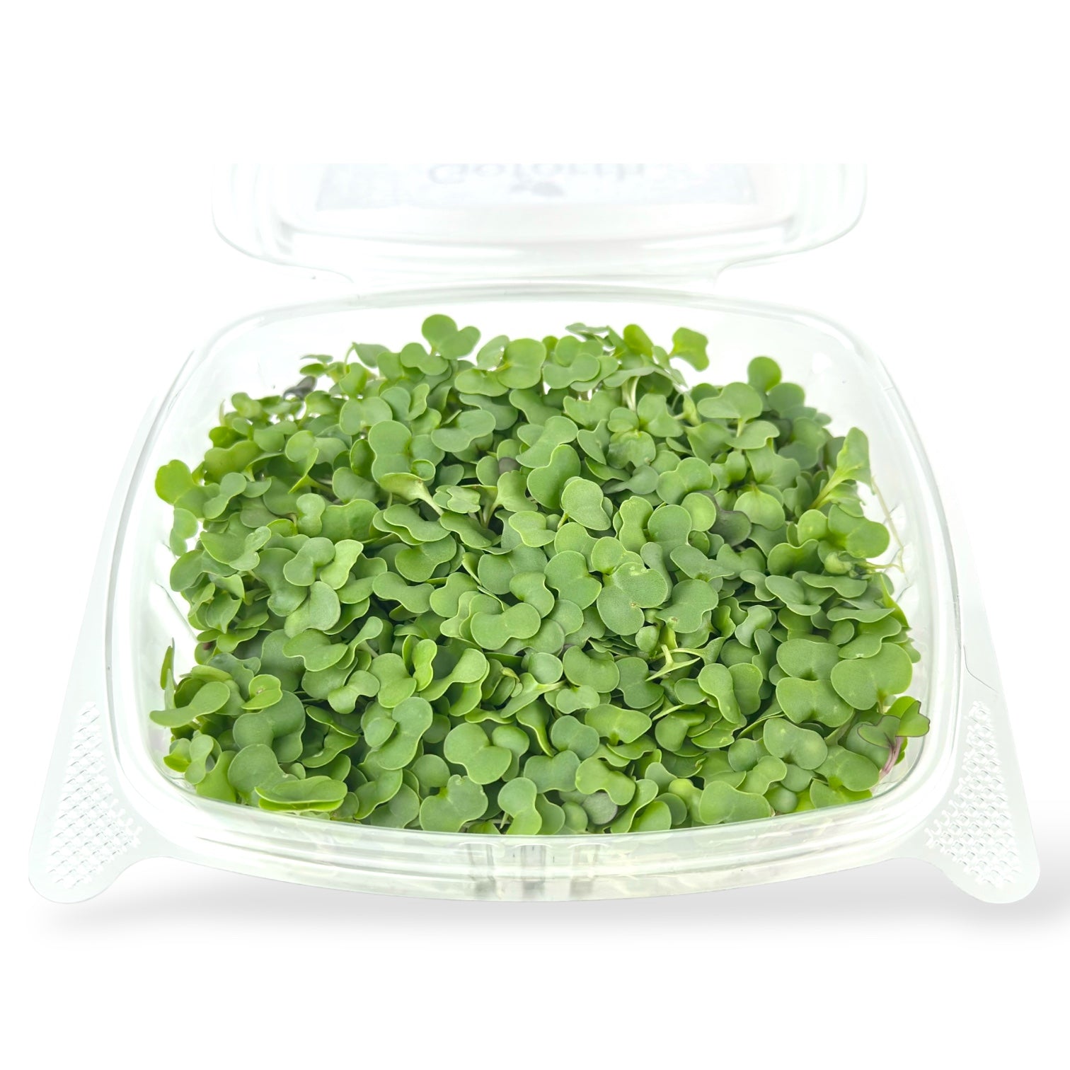 Spicy Microgreens