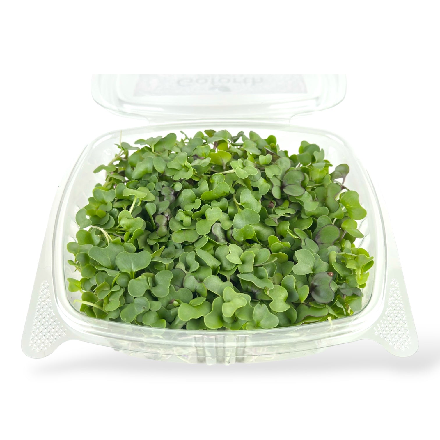 Basic Microgreens